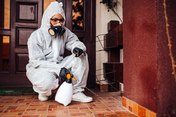 Reliable Cockroach Control contractor in Sweet Home, OR by Nex Pest Control